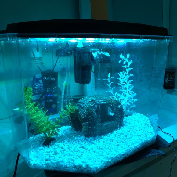 6.7 gallon fish tank (like new) - Picture 5 of 8